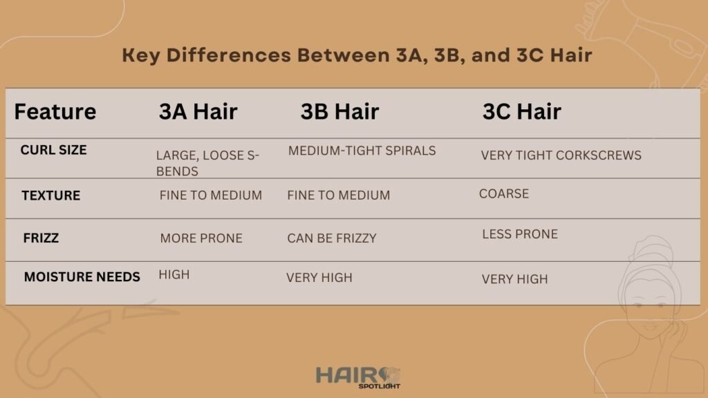 3C hair 4 Hair Types & 12 Textures: Unlock Your Hair's Hidden Identity